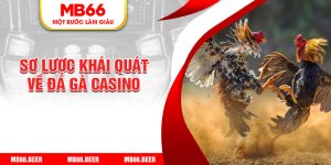 Sơ lược khái quát về đá gà casino 