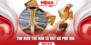 Tìm hiểu thế nào là vảy gà phủ địa