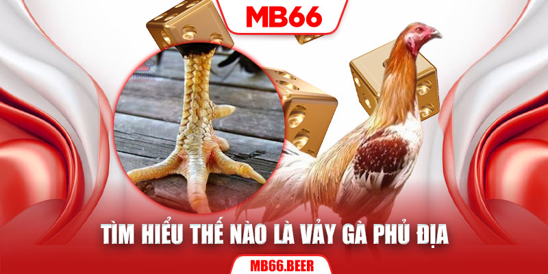 Tìm hiểu thế nào là vảy gà phủ địa