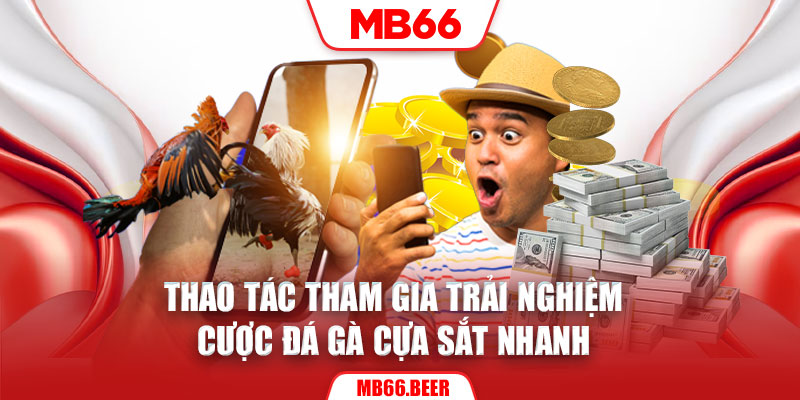 Thao tác tham gia trải nghiệm cược đá gà cựa sắt nhanh