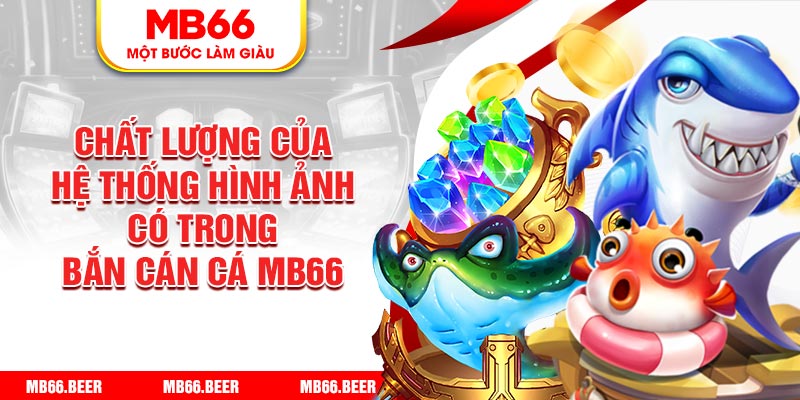 Chất lượng của hệ thống hình ảnh có trong bắn cán cá Mb66