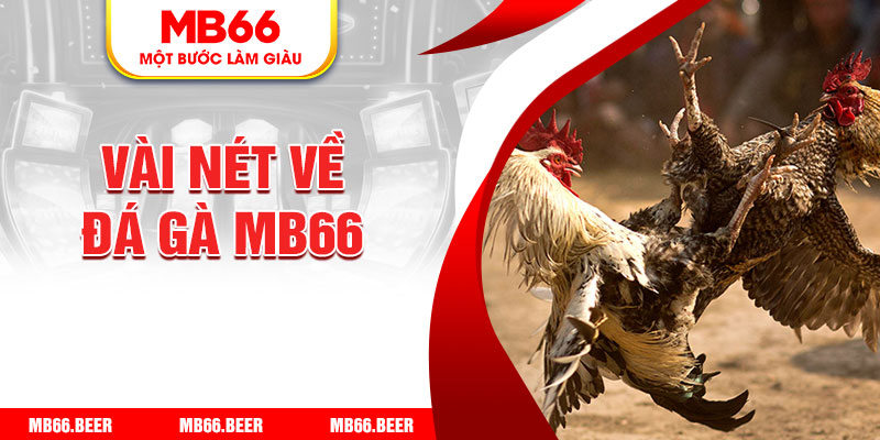 Vài nét về đá gà MB66