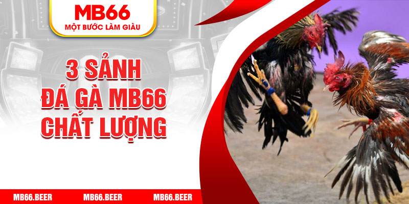 3 sảnh đá gà MB66 chất lượng