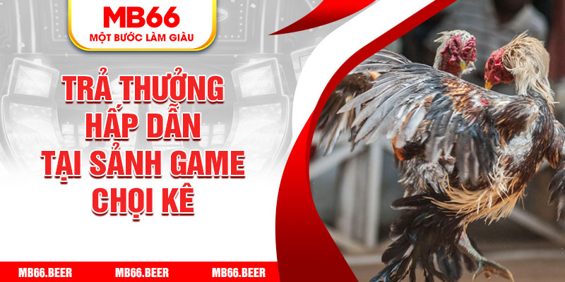 Trả thưởng hấp dẫn tại sảnh game chọi kê