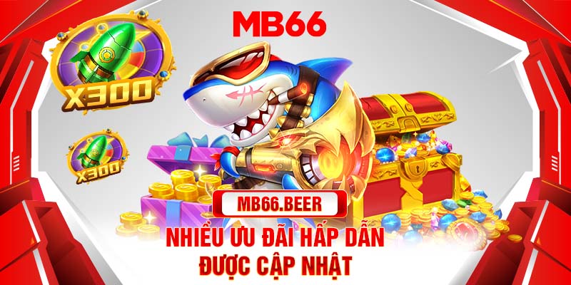 Nhiều ưu đãi hấp dẫn được cập nhật