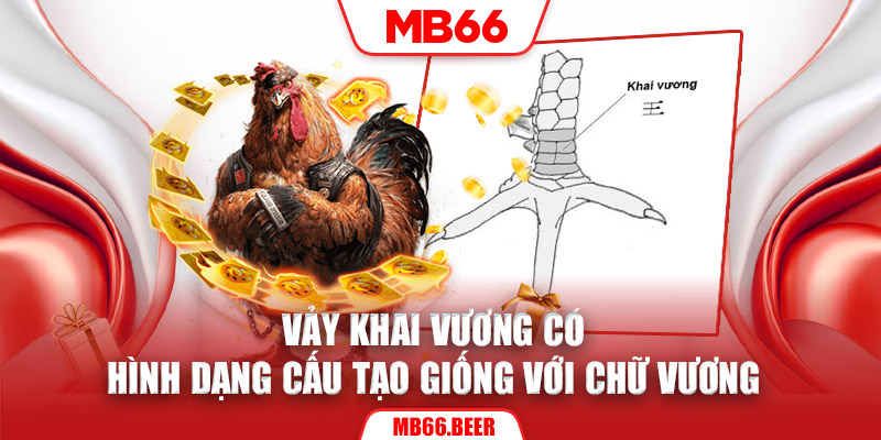 Vảy Khai Vương có hình dạng cấu tạo giống với chữ Vương