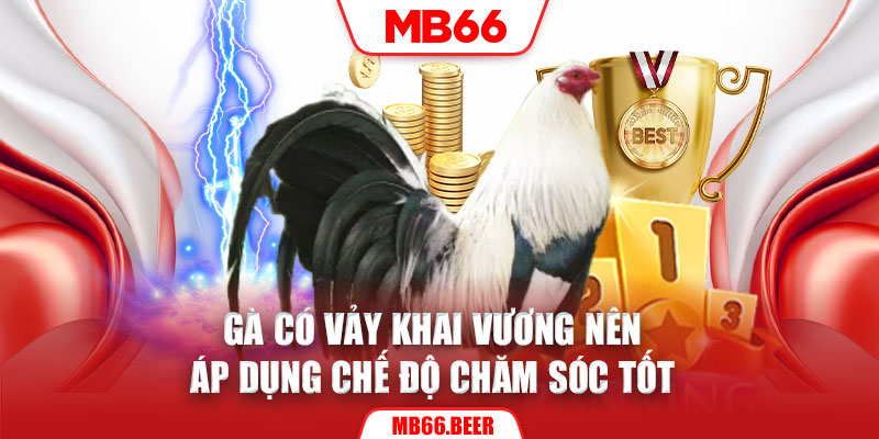 Gà có vảy Khai Vương nên áp dụng chế độ chăm sóc tốt