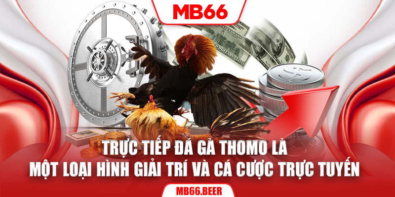 Trực tiếp đá gà Thomo là một loại hình giải trí và cá cược trực tuyến