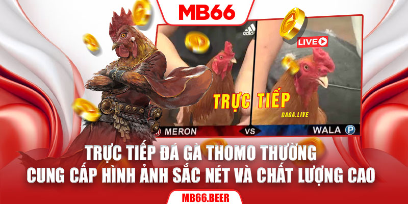 Trực tiếp đá gà Thomo thường cung cấp hình ảnh sắc nét và chất lượng cao