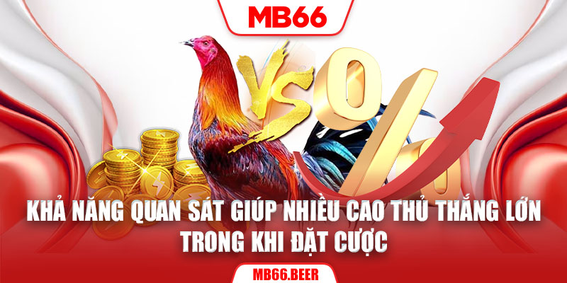 Khả năng quan sát giúp nhiều cao thủ thắng lớn trong khi đặt cược