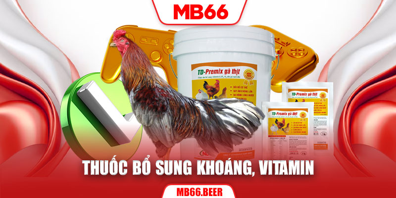 Thuốc bổ sung khoáng, vitamin