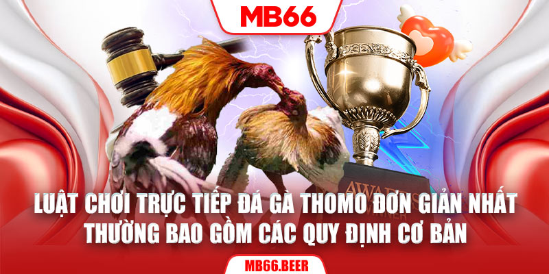 Luật chơi trực tiếp đá gà Thomo đơn giản nhất thường bao gồm các quy định cơ bản