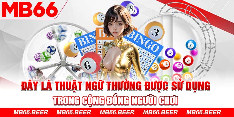 Đây là thuật ngữ thường được sử dụng trong cộng đồng người chơi