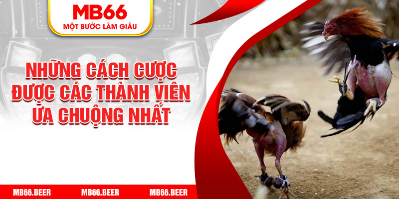 Những cách cược được các thành viên ưa chuộng nhất