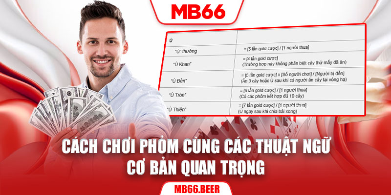 Cách chơi phỏm cùng các thuật ngữ cơ bản quan trọng