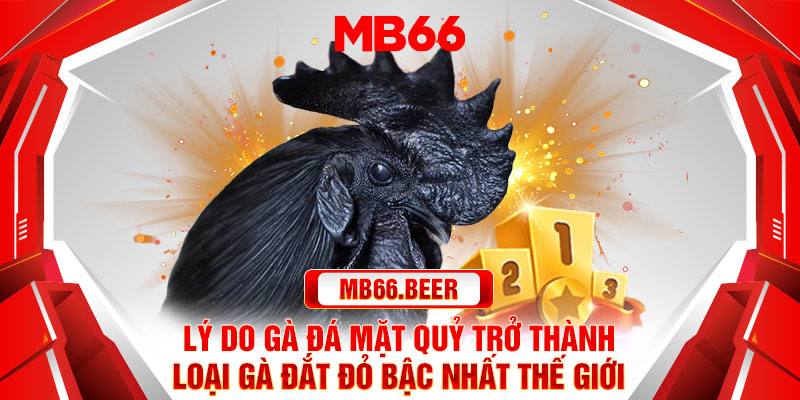 Lý do gà đá mặt quỷ trở thành loại gà đắt đỏ bậc nhất thế giới