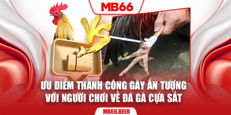 Ưu điểm thành công gây ấn tượng với người chơi về đá gà cựa sắt