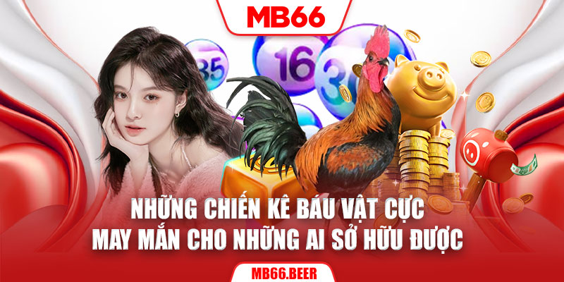 Những chiến kê báu vật cực may mắn cho những ai sở hữu được