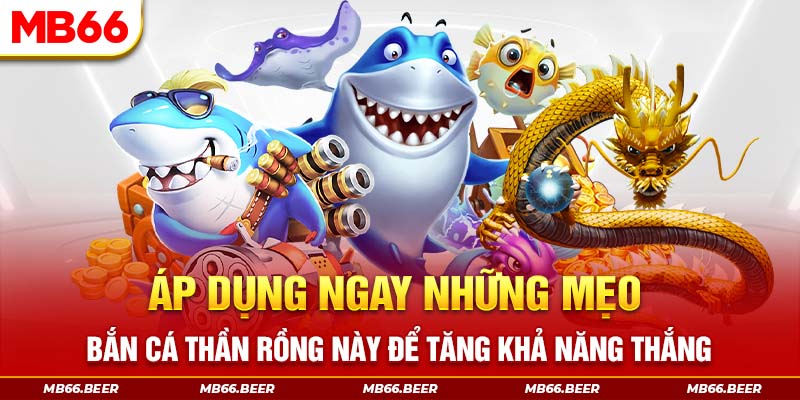 Áp dụng ngay những mẹo này để chơi bắn cá online dễ thắng