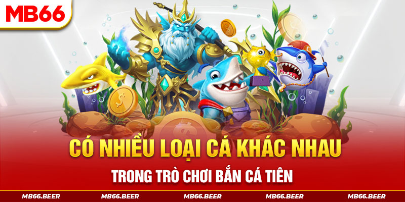 Có nhiều loại cá khác nhau trong trò chơi bắn cá tiên