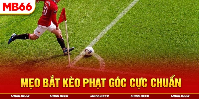 Mẹo bắt kèo phạt góc cực chuẩn