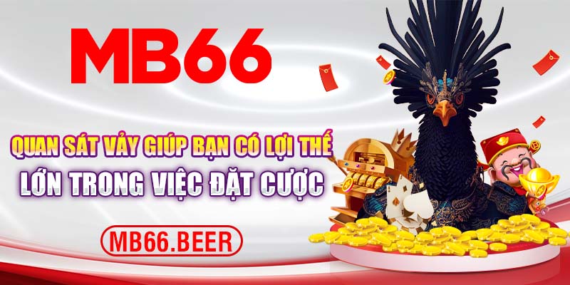 Xem vảy gà đá giúp bạn có lợi thế lớn trong việc đặt cược