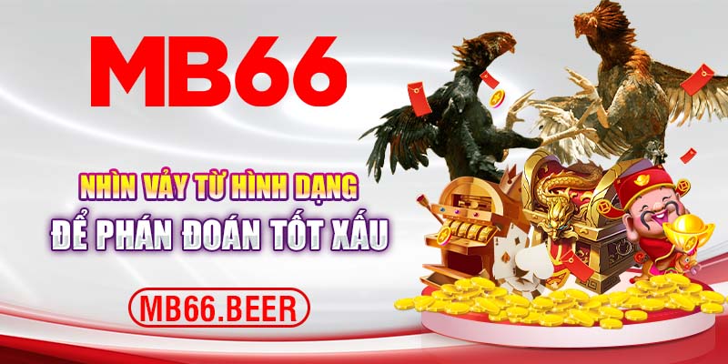 Nhìn vảy từ hình dạng để phán đoán tốt xấu